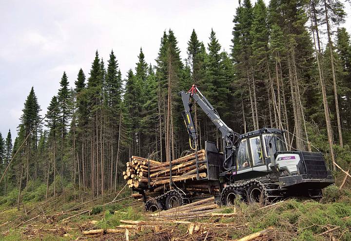 картинка Форвардер Logset 8F GT