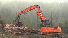 картинка Лесоукладчик Doosan DX300LL