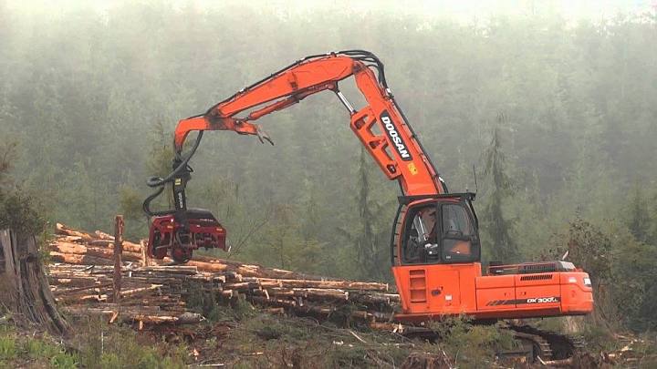 картинка Лесоукладчик Doosan DX300LL